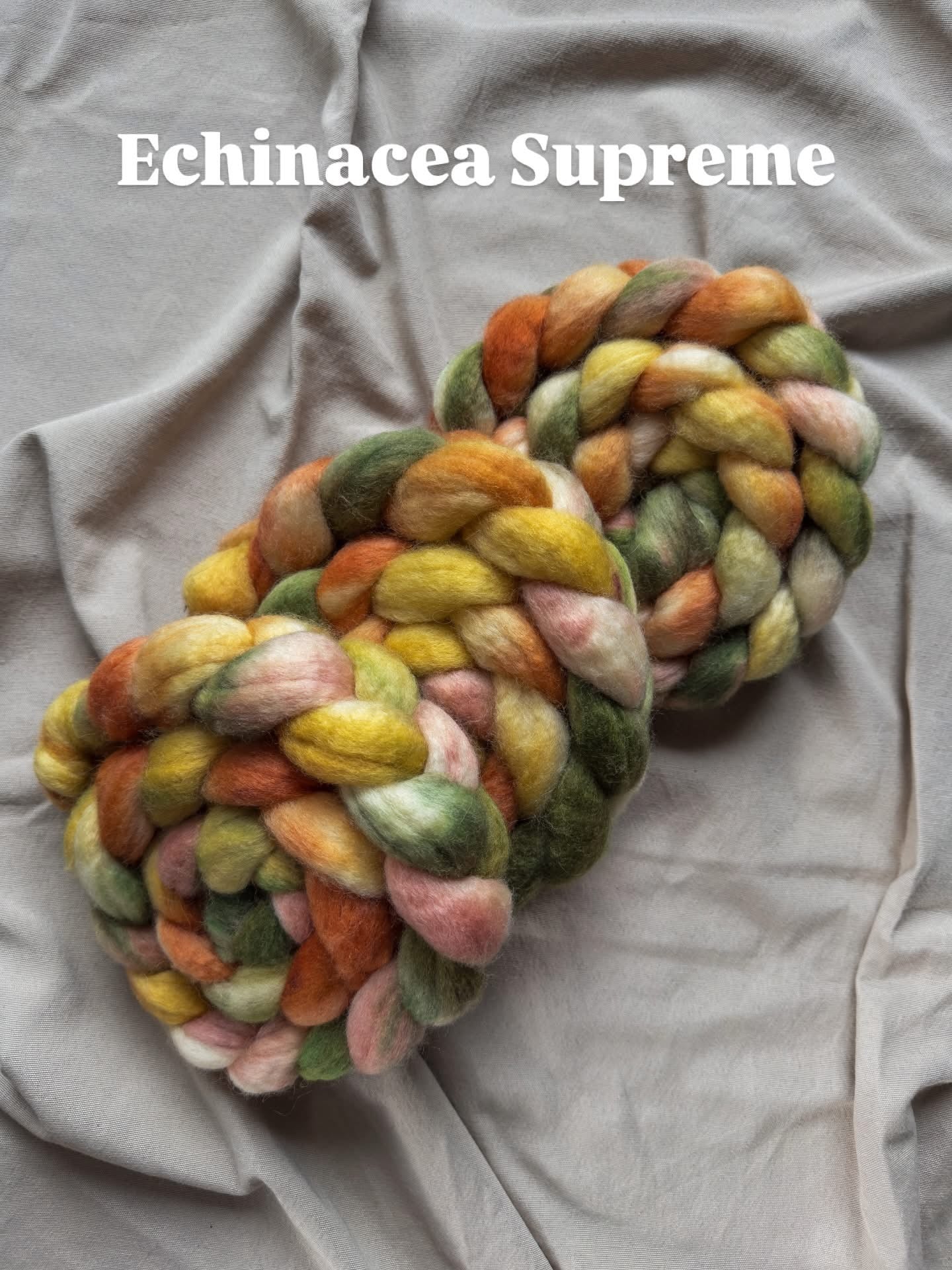 Echinacea Supreme (preorder 4-6 week turnaround shipping by 10 April)