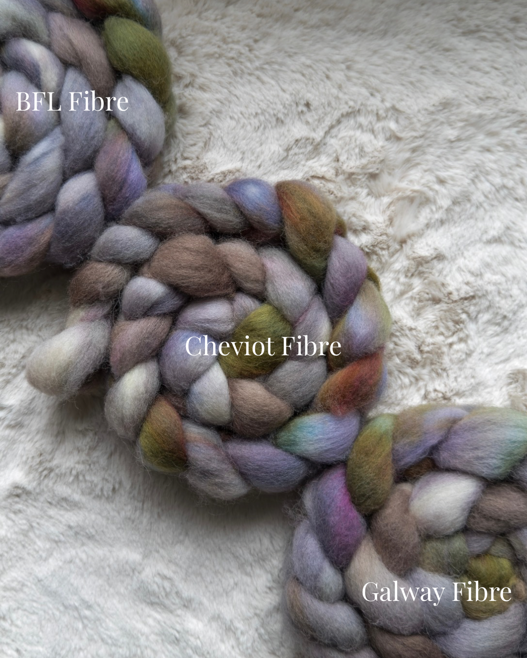 Burren National Park (Preorder, 6-8 week turnaround)