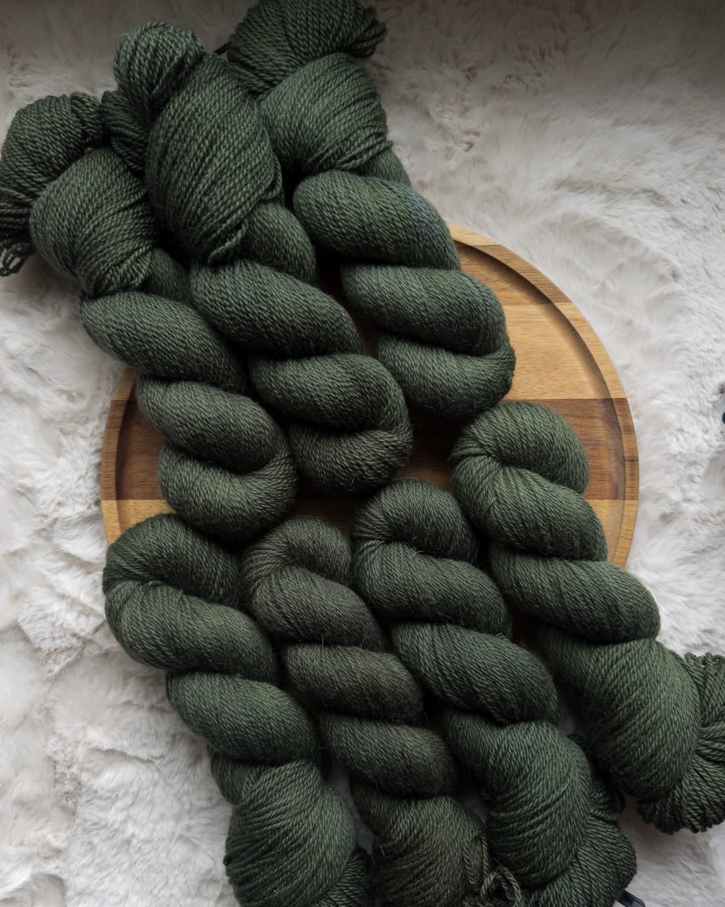Scots Pine (preorder 4-6 week turnaround shipping by 10 April)