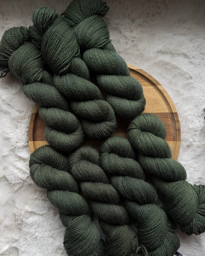 Scots Pine (preorder 4-6 week turnaround shipping by 10 April)