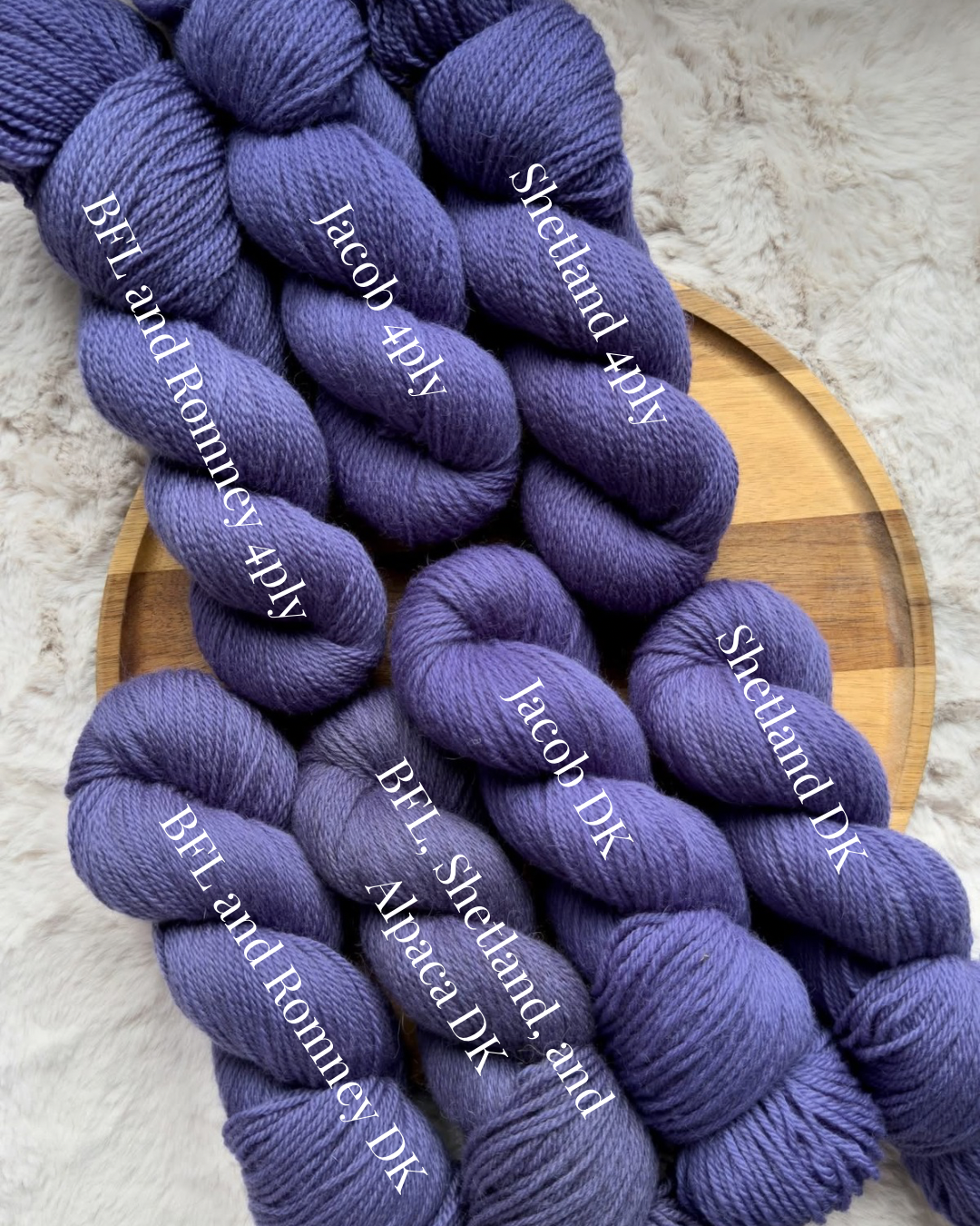 Sea Aster (Preorder, 6-8 week turnaround)
