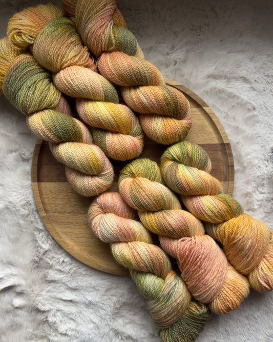 Echinacea Supreme (preorder 4-6 week turnaround shipping by 10 April)