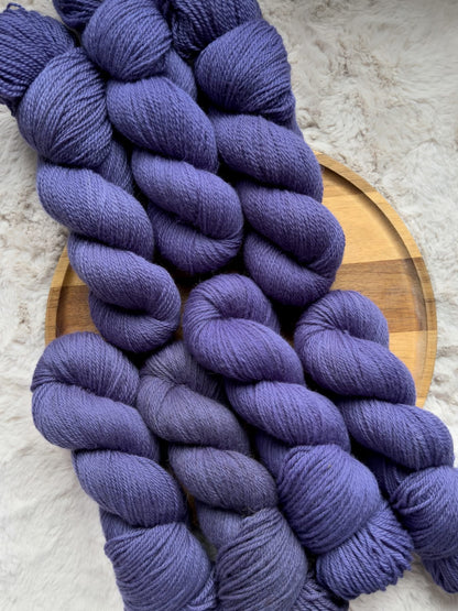 Sea Aster (Preorder, 6-8 week turnaround)