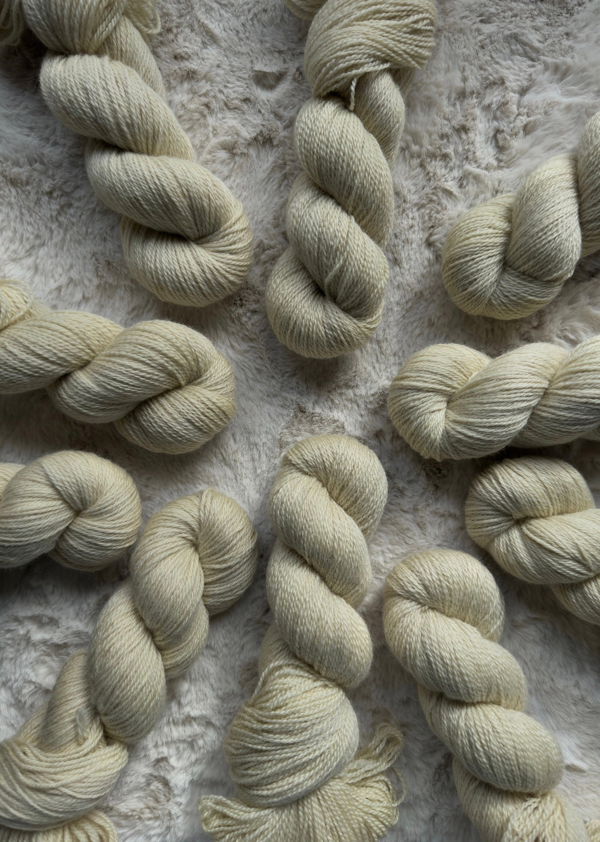 BFL and Romney DK