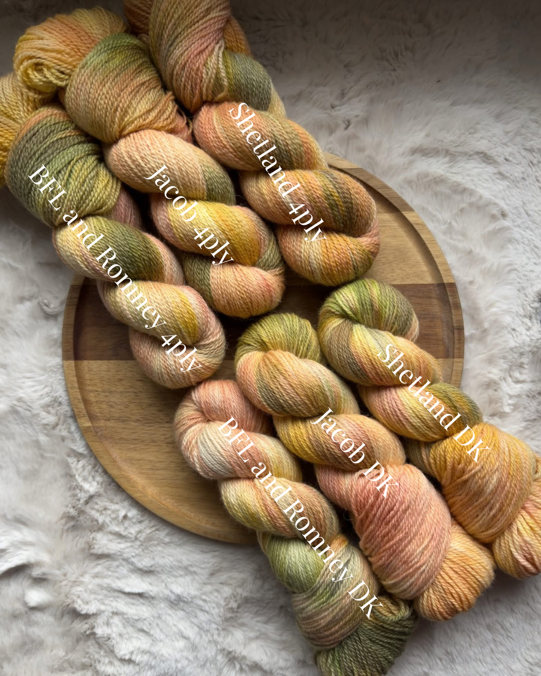 Echinacea Supreme (preorder 4-6 week turnaround shipping by 10 April)